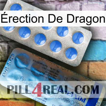 Érection De Dragon 40